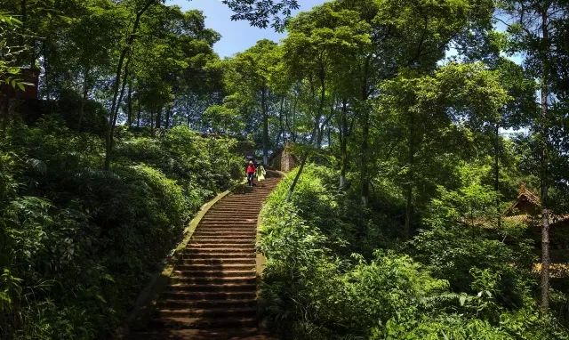 专程回故乡重庆,去邀请时任四川美术学院雕塑系主任的冯宜贵教授,让他