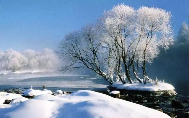 锦绣中国丨林都伊春的雪景让你美到哭!