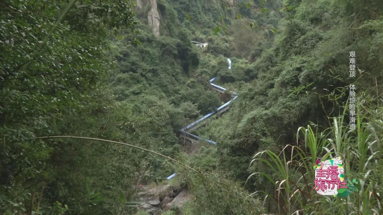 观飞瀑穿越古榕树玩滑道杨家溪应该这样玩