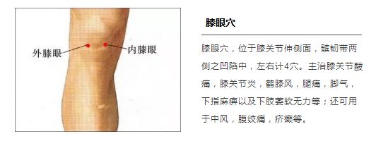 ▼内膝眼,外膝眼▼膝盖功能区膝盖功能区,内外膝眼穴功 能:舒经活血