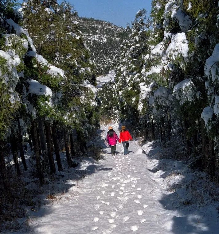 厦门下雪了?2018年福建第一场雪终于来了!多视频 高清图,美爆啦!