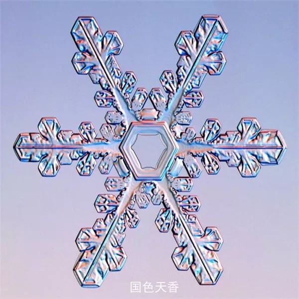 我愿是一枚雪花