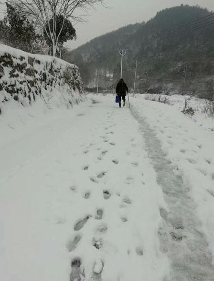 安陆多少人口_安陆白花菜(2)