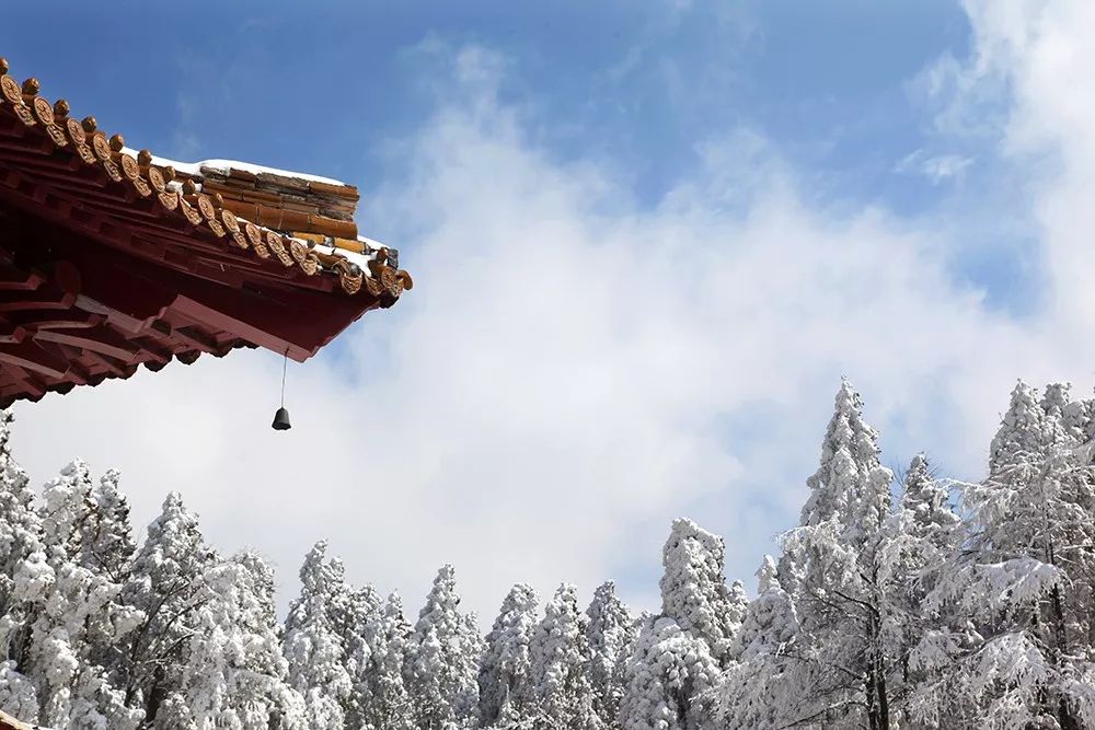 【艳●照】天台山,期待一场安静的雪