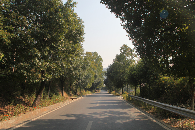 郴州在全省率先实行农村公路“路长制”