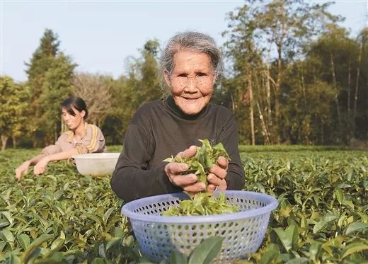 昭平百岁人口_广宁至昭平高速规划图(2)