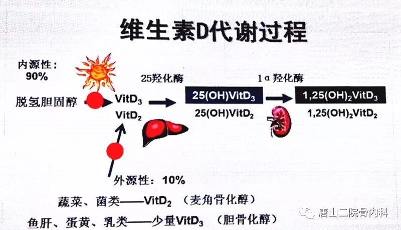 植物油或酵母中所含的麦角固醇,经紫外线激活后可转化为维生素d2.