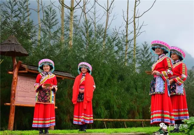 国家aaaa级旅游景区 你没有听错 就是 石菊古地景区 但相信还有