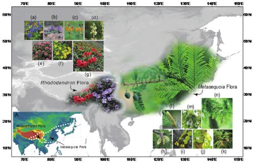 东亚植物区系研究形成新观点