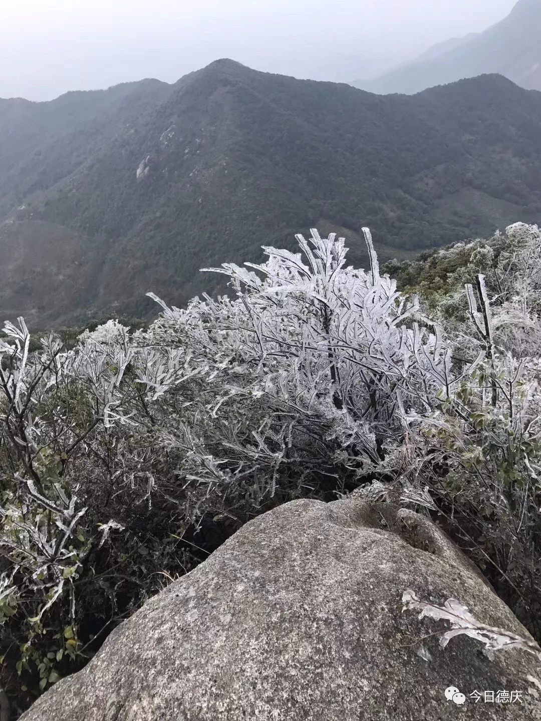 德庆下雪了?