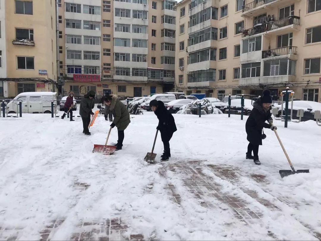 【清雪工作】丰年迎瑞雪,船营清雪忙