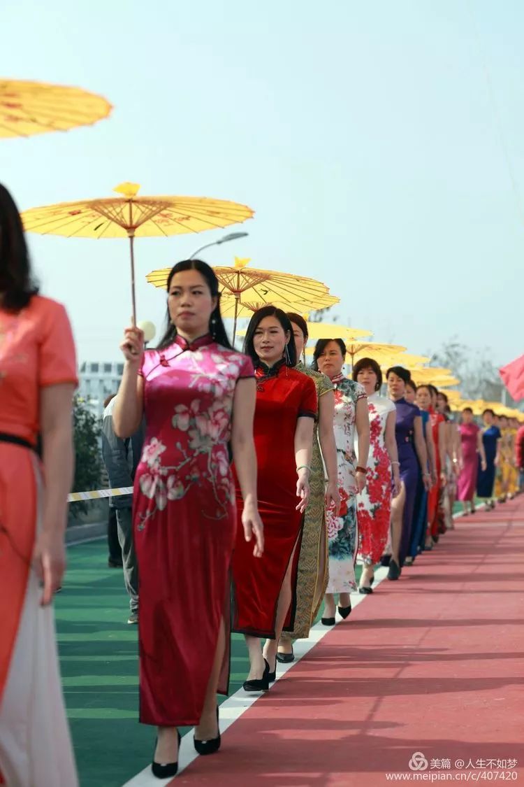 苍南这一幕旗袍秀,堪称最美"老娘客"集体出场