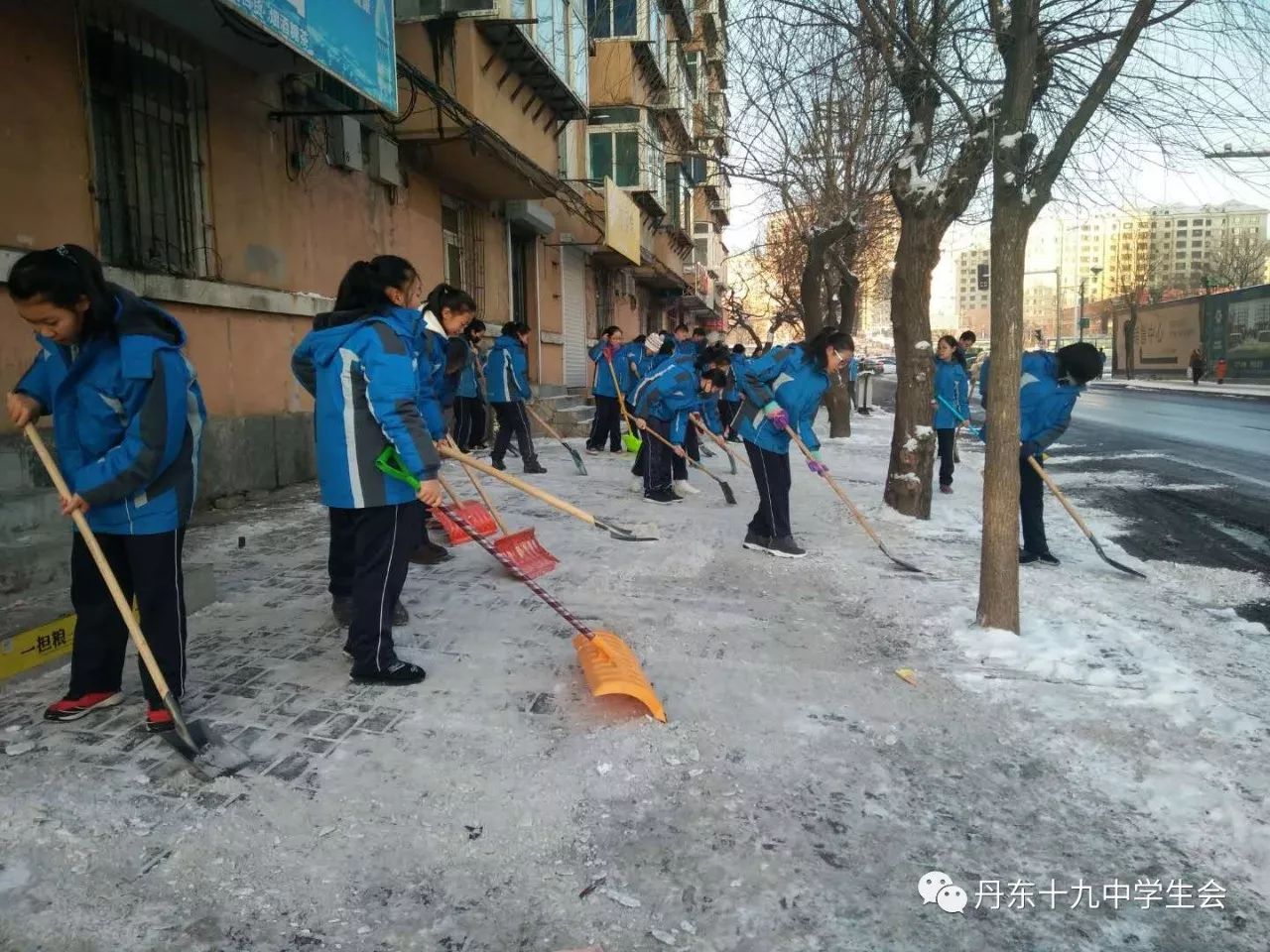 “ 迎创城 除积雪 美校园”十九中学生社会实践活动