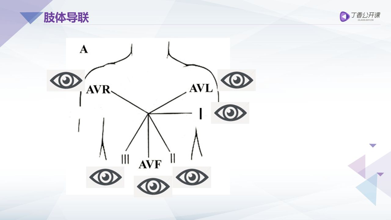心电图必备技巧:用「眼睛理论」学会看导联