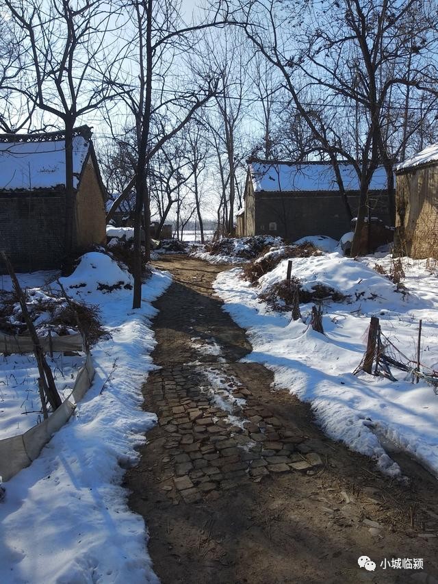 临颍乡下农村的雪景