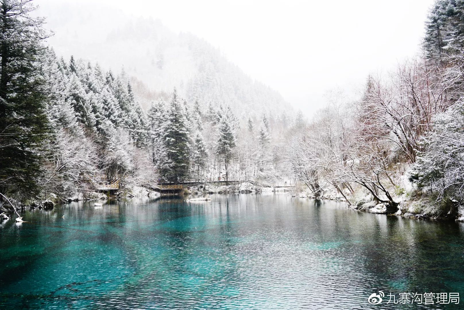 去看看 九 寨 沟 桑吉 大雪毫不吝啬地落下 装点着九寨沟的梦幻