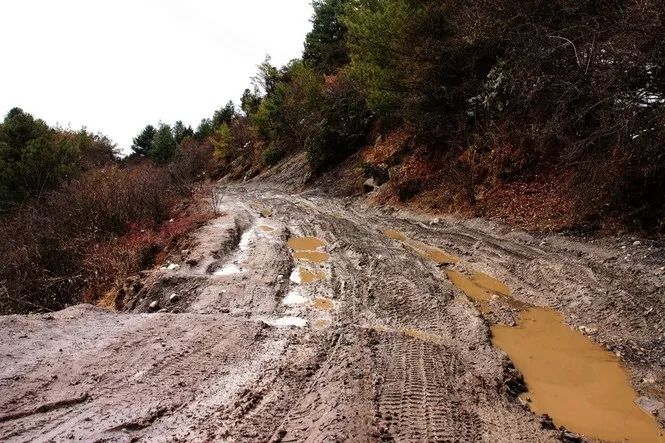 洋县槐树关镇北沟村四组何时通水泥路?政府回复了