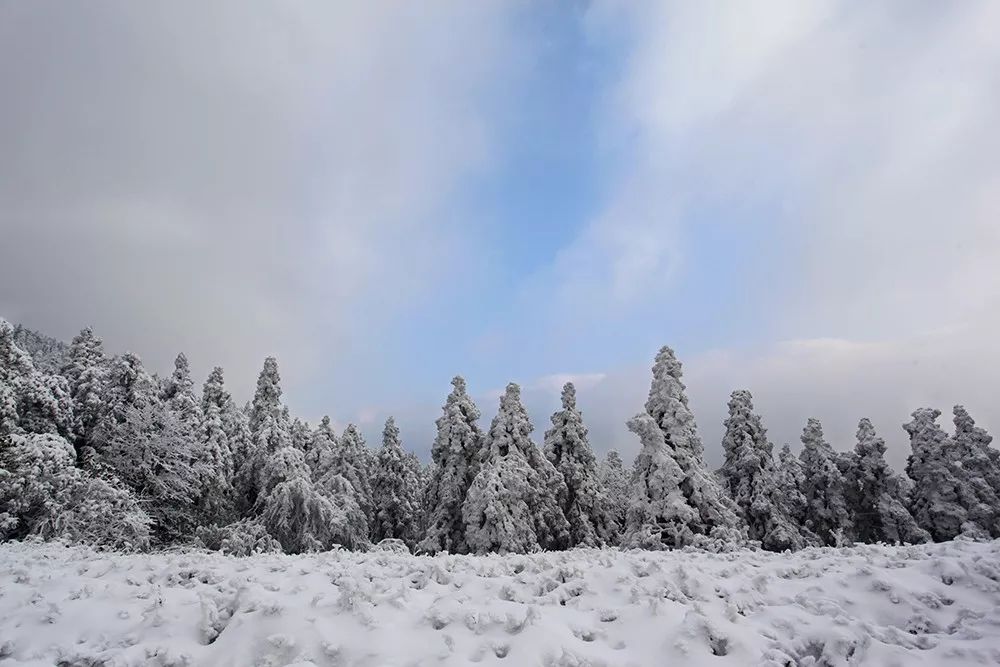 【艳●照】天台山,期待一场安静的雪