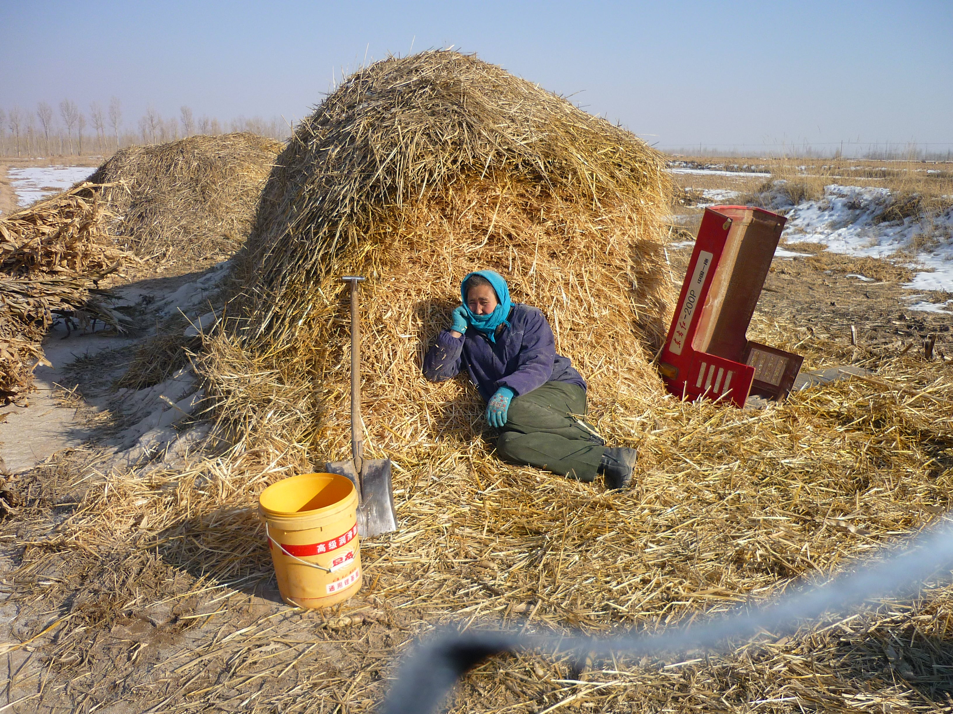 冬日里还在劳作的农民,粉碎草秸,创造生活 农民的一天