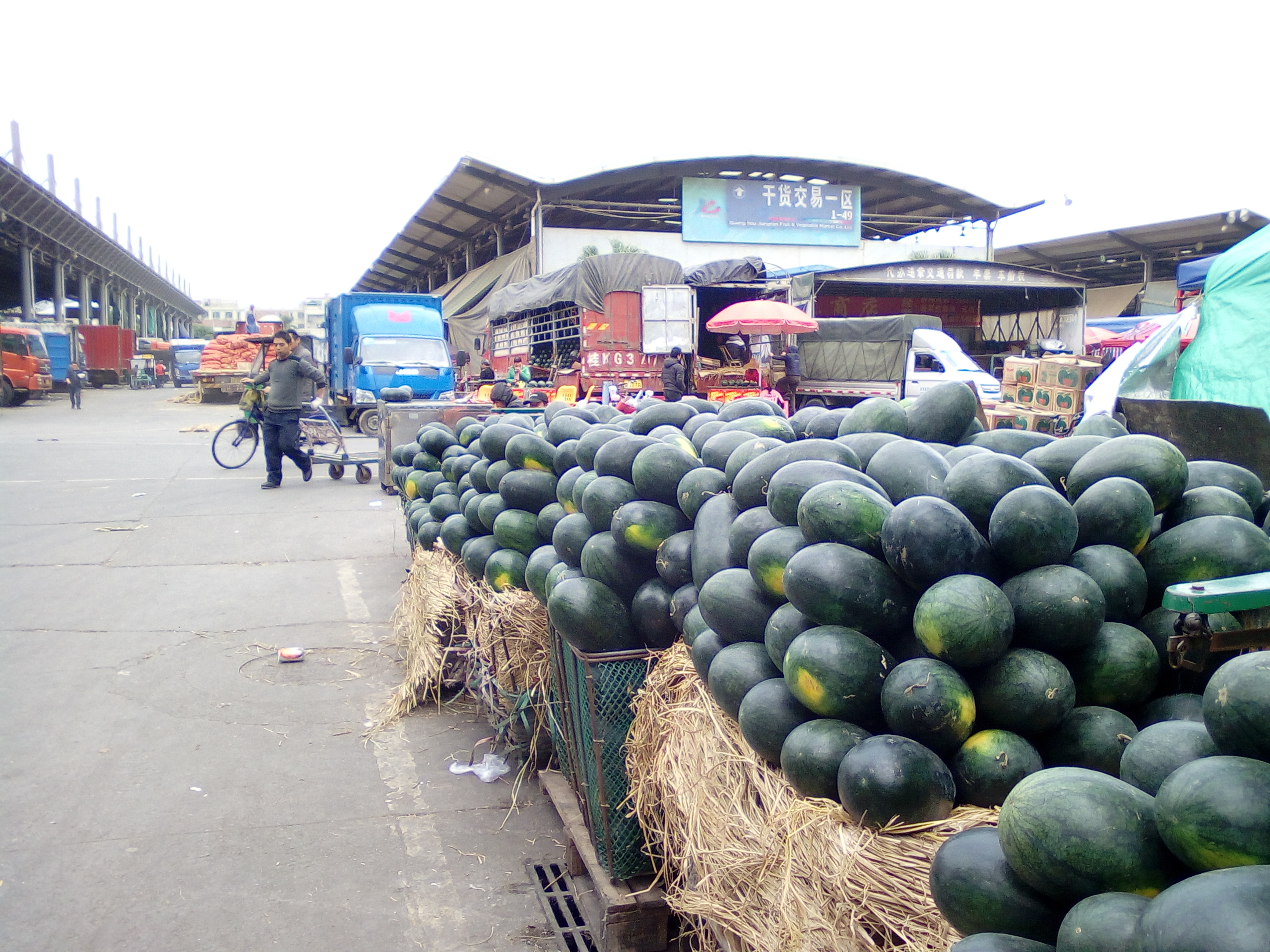 中国最大水果蔬菜批发市场国内70的进口水果来自这里