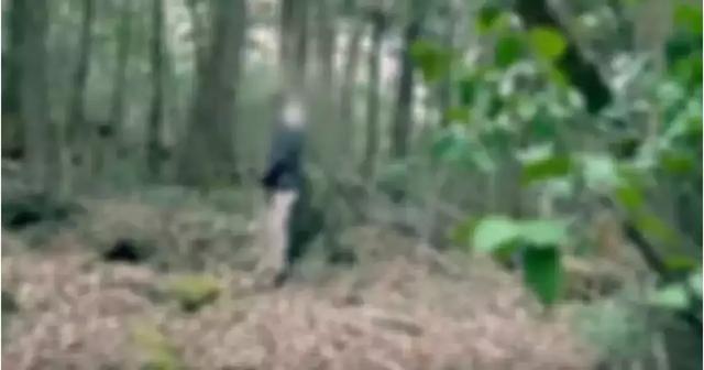 视频中展现了他们在日本"自杀森林"里发现了一具尸体(某男子在自杀