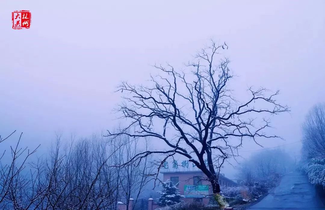 【古诗今说】古诗中的纷飞大雪飘落在天平山