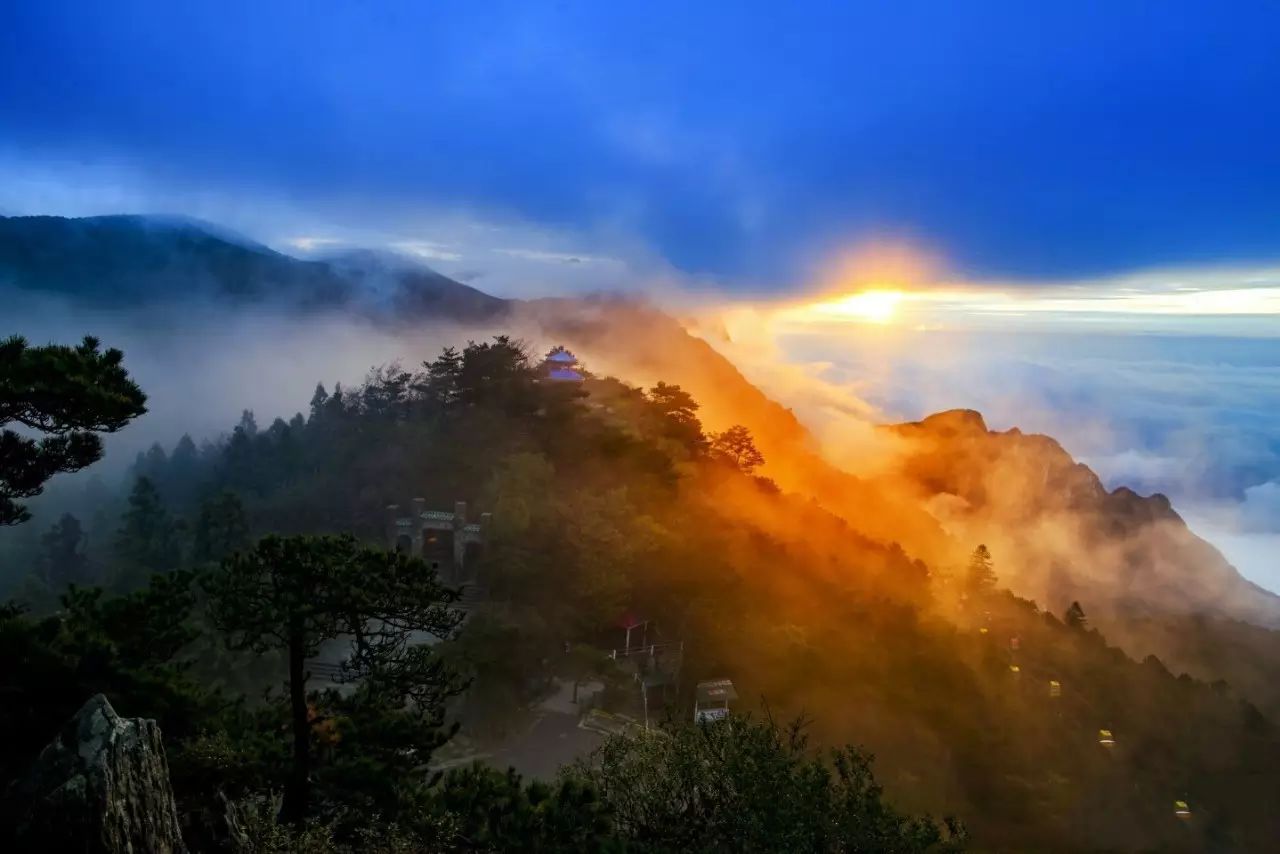 山姓全国有多少人口_山东出现肺炎疫情分布图 全国肺炎疫情最新分布图 山东(3)