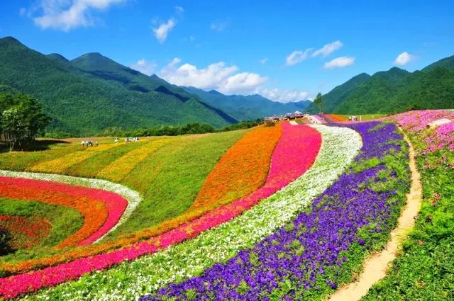 叫板北海道,媲美新西兰|下雪了才知道这里到底有多美!