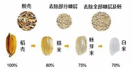 科技 正文  1月8日,因"水稻高产优质性状形成的分子机理及品种设计"