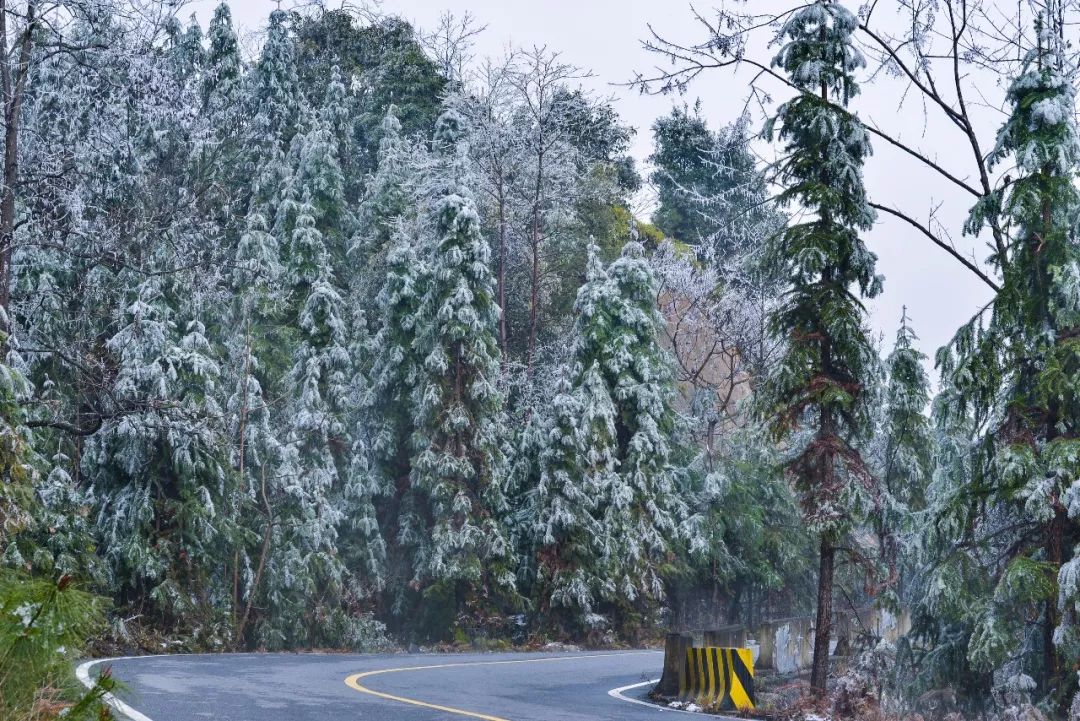 减 就连小编都被游客们的热情感染 还在为错过了下雪的南岭而感到遗憾