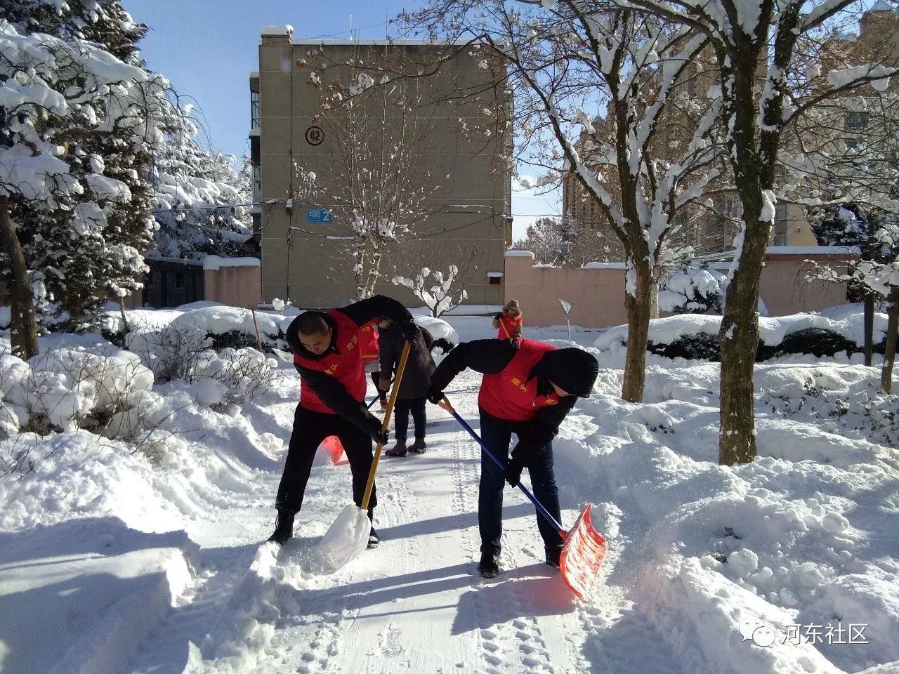 冰雪消融——一部短剧的魅力与启示