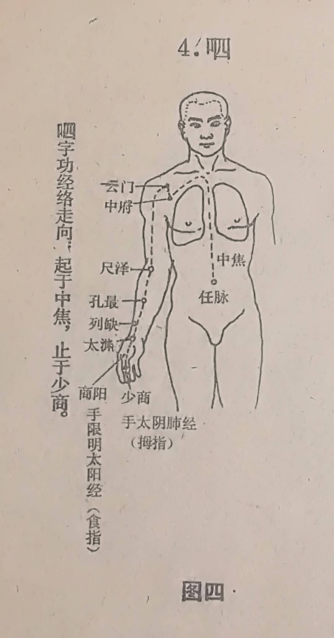 光遇钢琴情书曲谱(3)