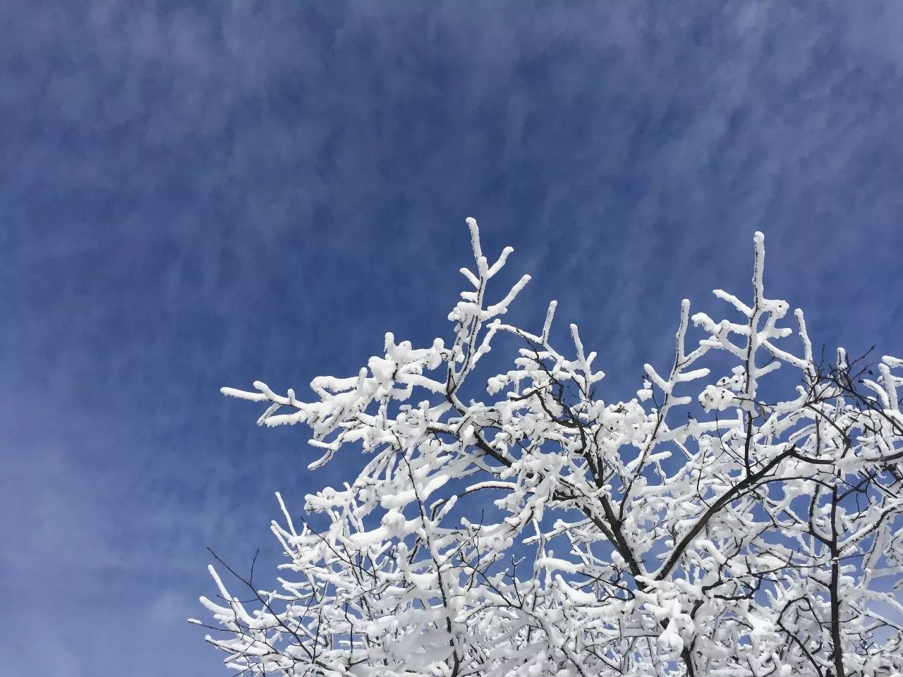 美图 重庆金佛山雪后初晴 白与蓝的纯净