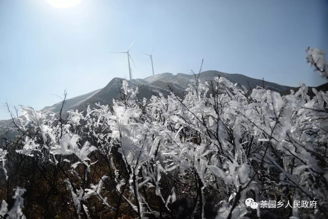 兴国:高山现迷人雾凇景观