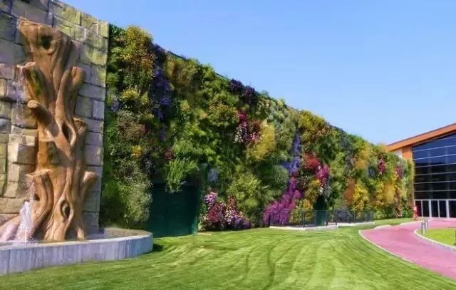 科技 正文  垂直植物墙在净化空气,降低噪声,缓解城市热岛效应,增强