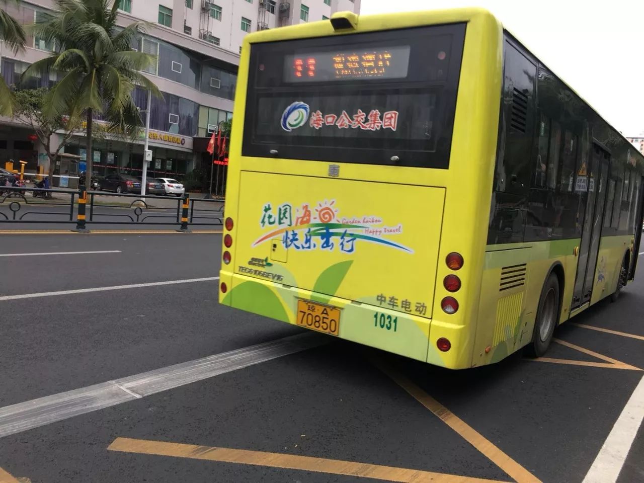 海口公交集团连夜转移龙华总站的纯电动公交车-海口新闻网-南海网