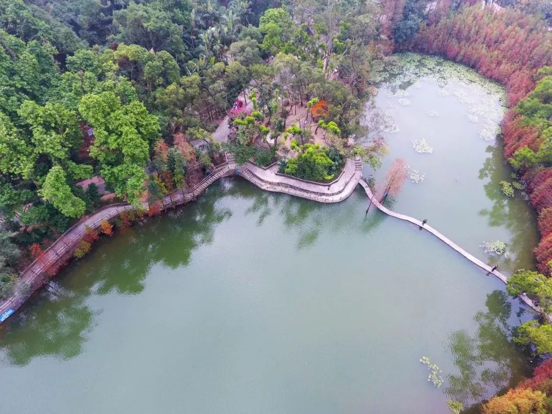 坐落在井岸霞山下的霞山公园