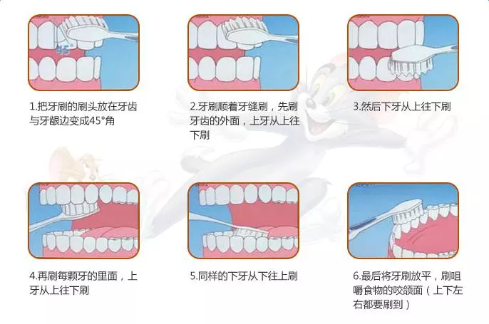 1,刷牙的姿势对不对