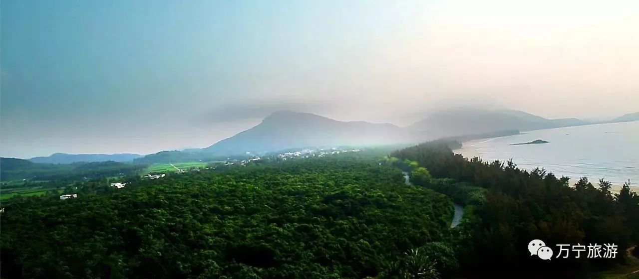 图 石梅湾青皮林图 鹭鸟栖息地(韩保献摄)这里有—海南第一山