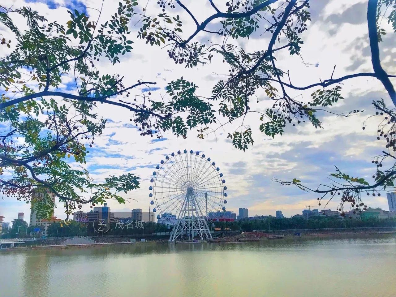 小东江畔新地标以后约会,就在摩天轮下见暂时还上不去的江心岛,等!