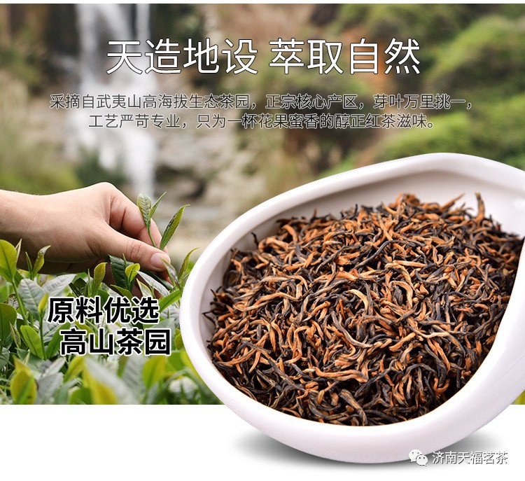 【天福茗茶私房茶 金骏眉红茶】