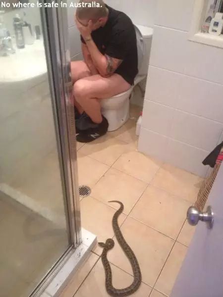女孩在澳洲上厕所,突然伸出一只冰凉的黑手摸她屁股!