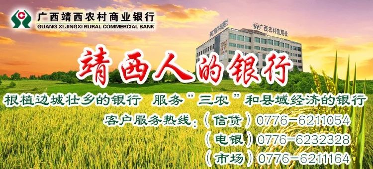 广西靖西市gdp2020_靖西市2020年经济适用住房申购报名公告