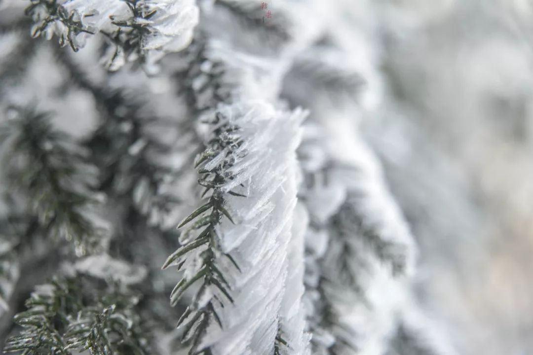 峰山的雪景有多美?