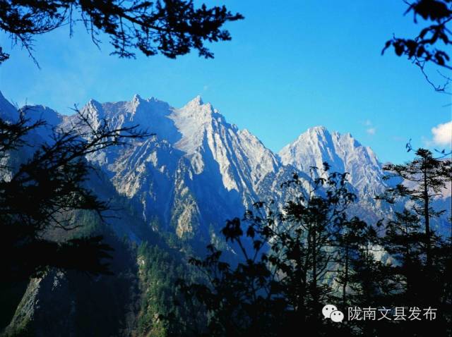 《白马印记》剧照文县夜景玉虚山园林文县油菜花景色凡昌