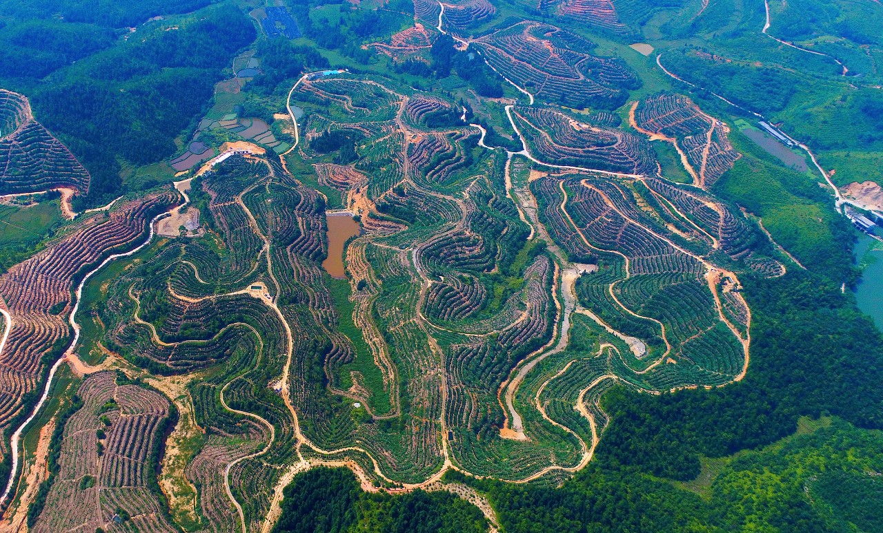 定南县经济规模总量_定南县地图