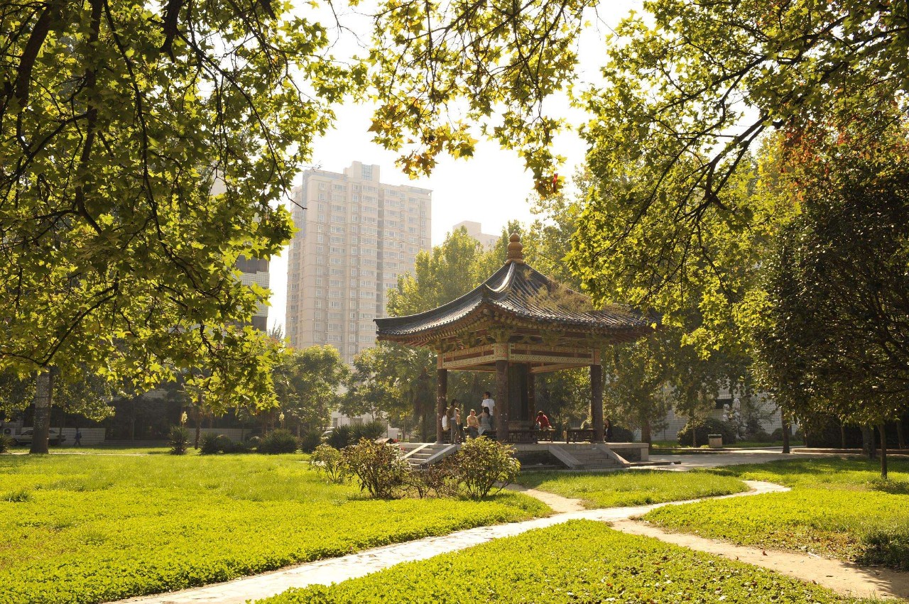 夏天的时候来西北大学逛最合适了.道路两旁绿树成荫.