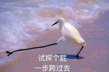 考查课挂了怎么办