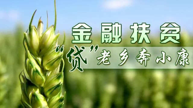 截至2017年12月31日,辖区金融扶贫贷款余额54797万元,带动贫困户14473