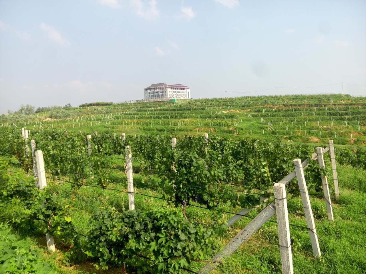 自豪!大岱岳上榜山东省生态循环农业示范县!